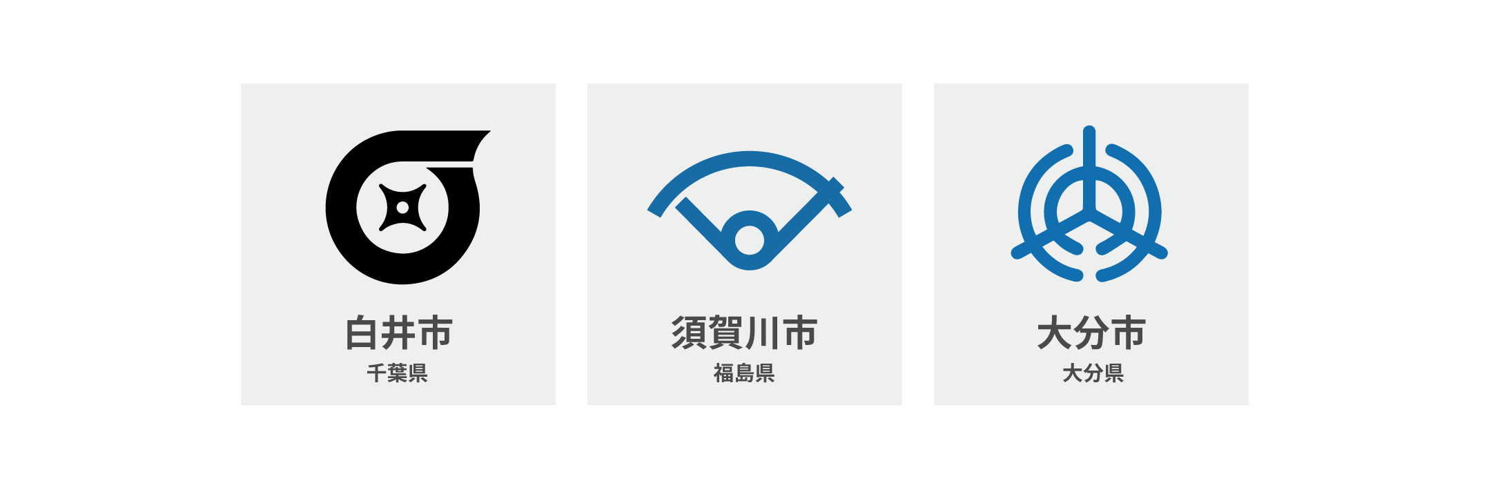 local government-icon