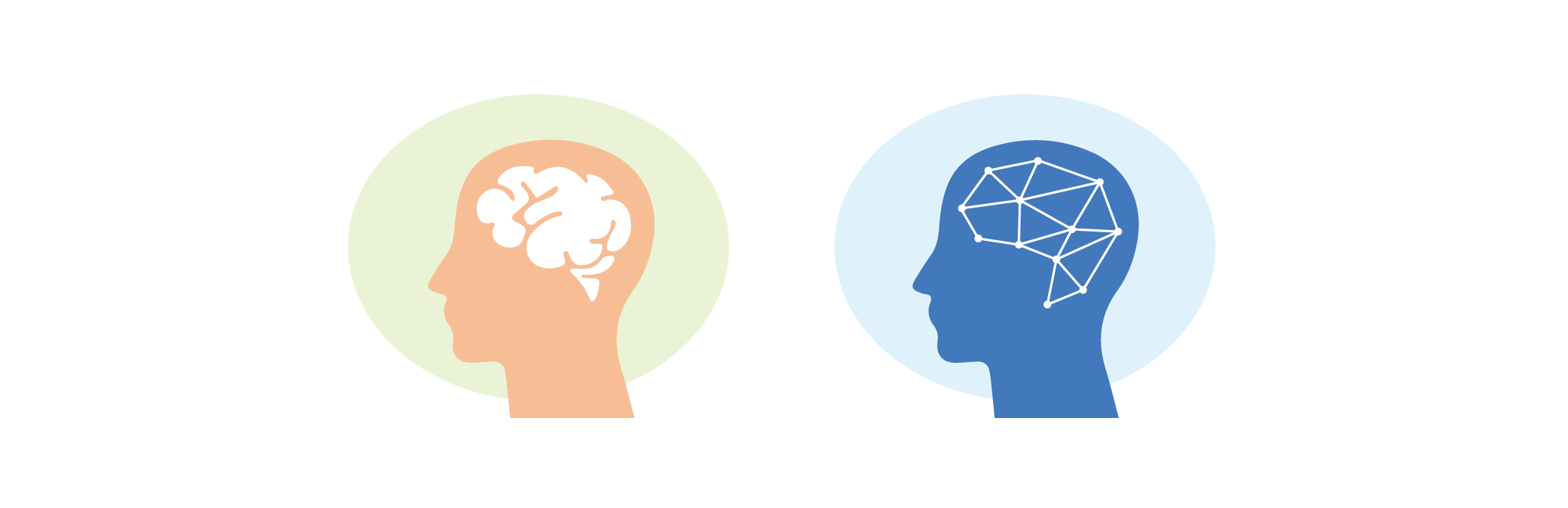 brain-image